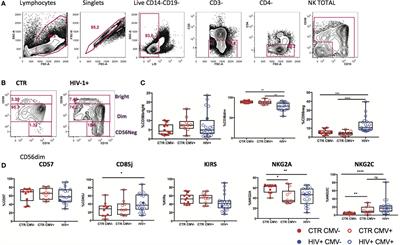 Adaptive Reconfiguration of Natural Killer Cells in HIV-1 Infection